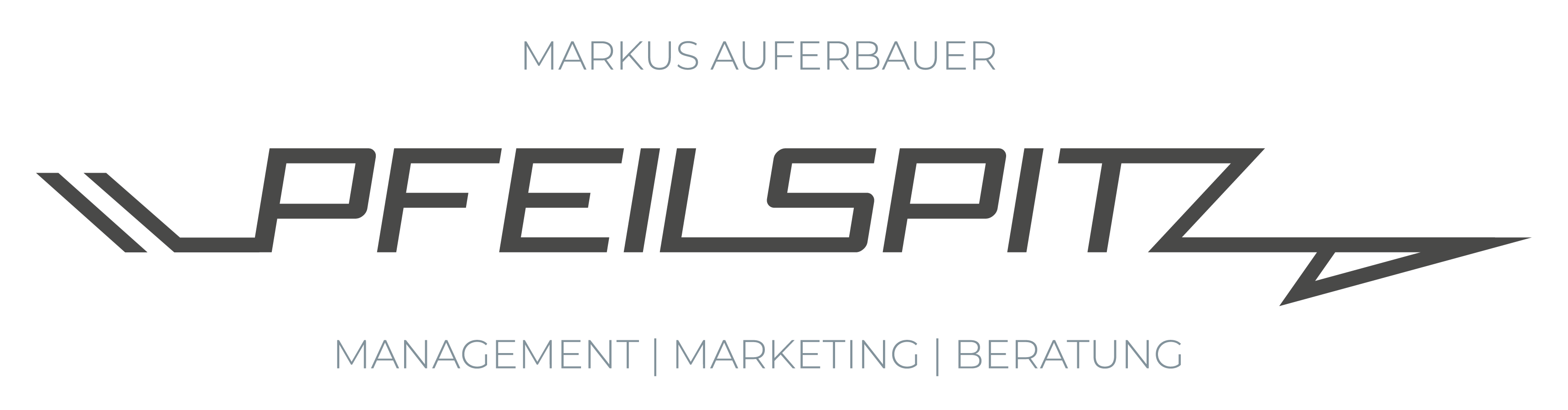 Logo_Pfeilspitz